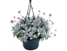 �������� ������ ��������� 15�40. 429,45 ���.jpg