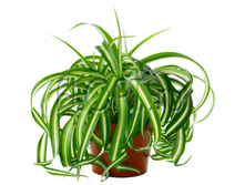 ���������� ����� 12�25. 242,55 ���.jpg