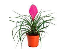 ���������� ����� 9�27. 297,15 ���.jpg