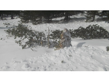 ������ ���������� �������