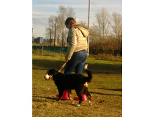 IMG 20160424 171844.jpg