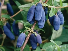 ��������� ��������� ���������.jpeg