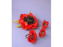 ������� ���� - �������