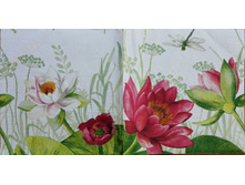 IMG 20160418 134805.jpg