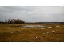 IMG 20160409 113310.jpg