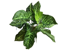 ���. ����. �������� 699-50. 52 ��. 598,4 ���.jpg