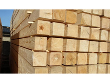 ���� ����� ����������