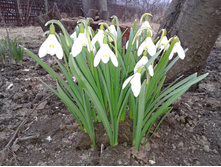 �������� (��� ����)