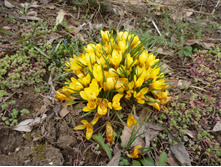 P1050007.JPG ������