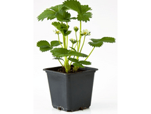 ���  �������� ���������.png