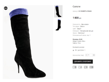 OV ROBERTA 990682.png