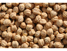 ��� �������.jpg