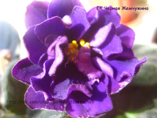 �� ������ ���������