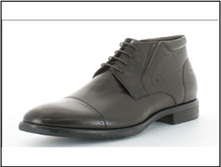 ���� 61,9 ����.