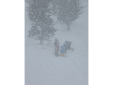 �������� ���� �� ������