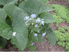 ���� 2014 103.jpg