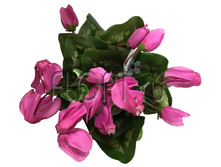 ���.����. �������� � ������, ������� �33036�. 28 ��. 652,81 ���.jpg