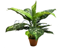 ���. ����. ����������� 746-50. 50��. 952,01 ���.jpg