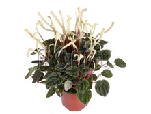 ��������� ������ 12�30. 284 ���.jpg