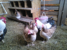 ��������� ���������