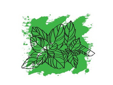 202���.�������� ���� ��������