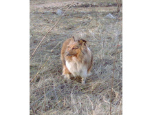 IMG 20160422 175136.jpg