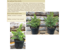 ��� �������� 20-25�� 1� 250���, 3� 30-35�� 600���.jpg