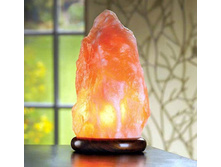 ������� ����� - ������ �������� ��������� �������