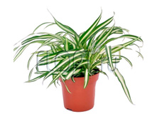 ���������� �������� 12�35. 186,02 ���.jpg