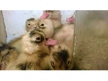 14 ������