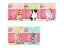 ������� 12�. ������ ������ � ����� 7,58.jpg