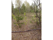 IMG 20160427 162942.jpg