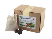 ����������� ������ �������� ������� �����