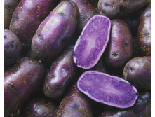 ��������� ������ 40���. �� 1�� (���������� �� 3 ��, �� ����� � �� 1��).jpeg