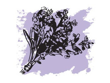 166 ���. ������� ����� ������ ���������