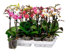 ���������� ���� 2���. 9�35. 648,9 ���.jpg