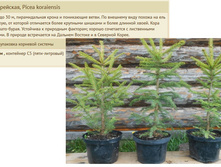 ��� ��������� 50-65�� 5� 800���.jpg