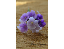 ������� ��� ����� "������"