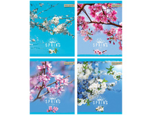 ������� 80�. �5 ������ Hello Spring, ���������, ������� 31,65.jpg