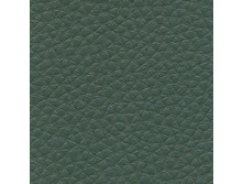 ������� ����� �������.jpg