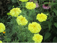 ����� 1021.jpg