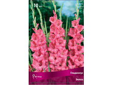 ��������� ����� 89,0