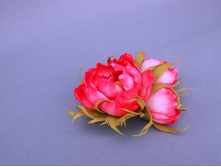 ���������� - �������