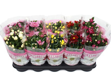 ���������� ���� 6��. 12�26. 178,5 ���.jpg