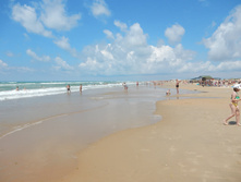 ���� ����, ���� 2015�