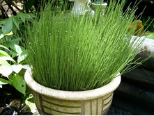 ���� ��������� 110�.jpg