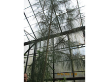 IMG 2843.JPG