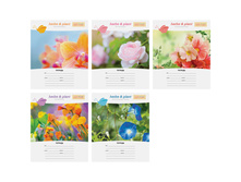 ������� 12�. ����� �����. Magic flower 6,77.jpg