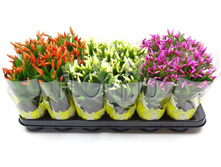 ������������� ���� 3��. 10�20. 148,05 ���.jpg