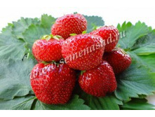 ��������� ������� ���� �����.jpg